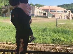 -哈尔滨北方森林动物园