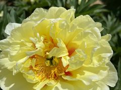 -国家植物园南园