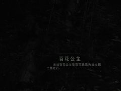 -峡谷浮石林景区