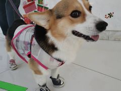 -北京恒爱动物医院(清景园分院)