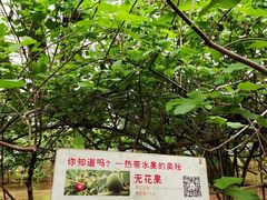 -第五季龙水凤港生态露营农场