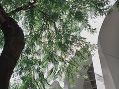 -尼依格罗香港美利酒店