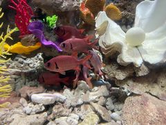 -太平洋海底世界