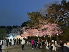 -名古屋城