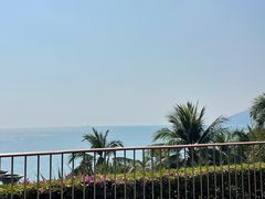 -日落吧·海景咖啡厅·餐酒吧·鸡尾酒·下午茶·乐队表演·浪漫夕阳·三亚文华东方酒店