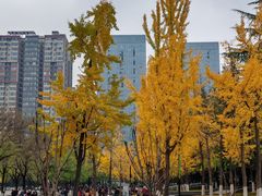 -城市运动公园(未央区)