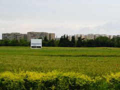 -李歪歪纸包鱼(天府新区店)