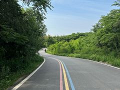 -冶父山国家森林公园
