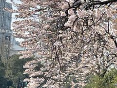 -红星桥(地铁站)