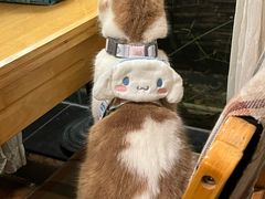 -默迹咖啡馆