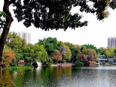 -荔湾湖公园