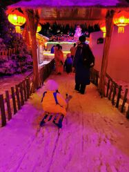 -圣名游乐城冰雪大世界