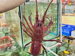 -寻味顺德·南记酒家·传统顺德菜·鱼生(广源路店)