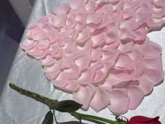 -PARFUM FLORAL花境法餐(南京首店)