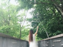 -白马涧龙池景区