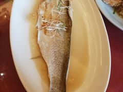 -碧桂园凤凰城酒店(南京店)