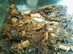 -鑫海汇海鲜烤肉自助(北国商城店)