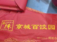 -京城百饺园•东北菜馆(红谷滩店)
