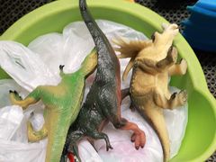 -朝阳公园游乐园