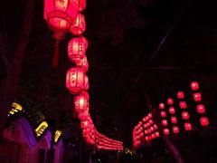 -印象普陀