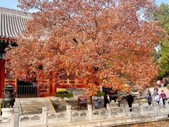 -香山公园