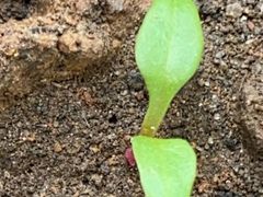 -宜昌富力皇冠假日酒店·咖啡1号西餐厅