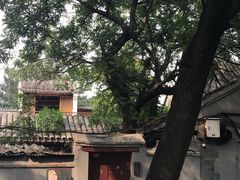 -北京国子监胡同