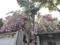 -深圳国际园林花卉博览园