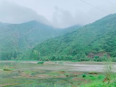 -白河湾生态旅游一条川