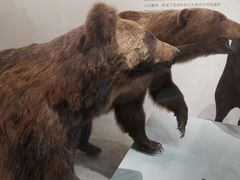 -长江文明馆