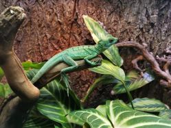 -酷嗒动物文化乐园(cutezoo西溪乐天城店)