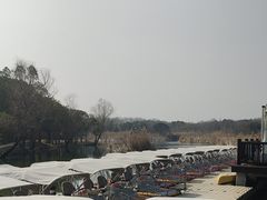 -同里国家湿地公园