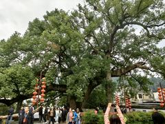 -新安江山水画廊风景区