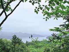 -酒仙湖景区