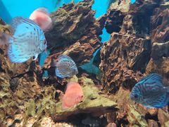 -海合安武汉极地海洋公园