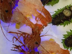 -甄御•海鲜新青岛菜(麦岛店)