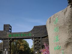 -溱湖国家湿地公园