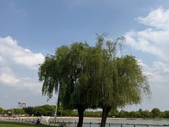 -上海月湖雕塑公园
