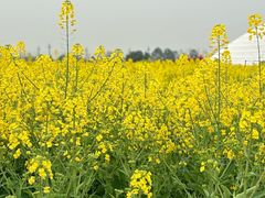 -中国天府农业博览园