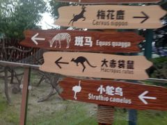 -国色天乡三期陆地乐园