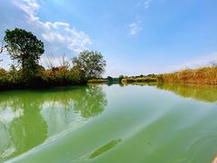 -西溪国家湿地公园