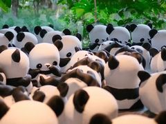 -杭州植物园