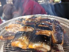 -本炙炭烤·蒲烧活鳗料理店(金沙洲店)