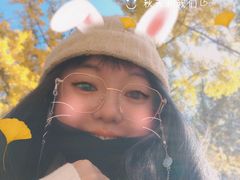 -三里屯东五街银杏大道