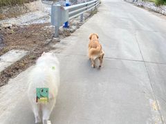 -半天妖烤鱼(丰科万达店)