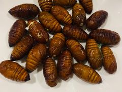 -胡哥烤肥牛(车公庙店)