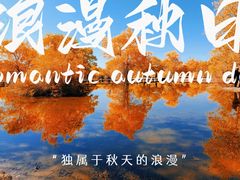 -金塔沙漠胡杨林景区