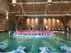 -天津东丽湖恒大酒店-温泉自助餐厅