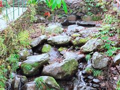 -藏龙百瀑风景区