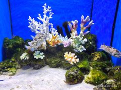 -多彩贵州城极地海洋世界